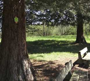 Sport- und Freizeitpark Markwasen