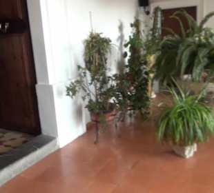 Wallfahrtskirche Santuari de Sant Salvador