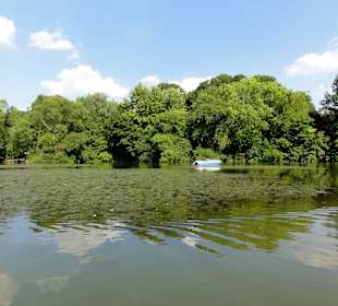 Tretboot vor dem Ufer des Sees