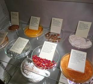 Wertvolle Inhaltsstoffe des Spargels