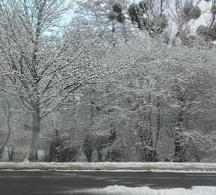 Winter walk at Park Jelitkowski, Gdańsk, Poland