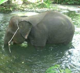 Baden müssen sie auch