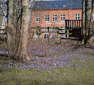 Im Hintergrund Schloss zu Husum