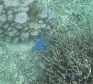 В водах Тихого.