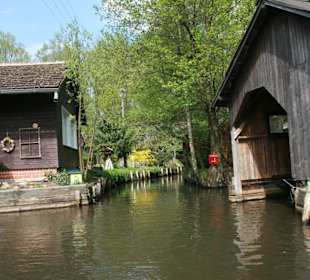 Kahnfahrt durch den idyllischen Spreewald
