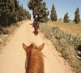 Reitlehrerin vorweg durch die schöne Landschaft