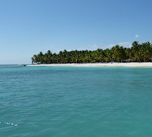 Saona