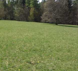 Strauchlehrpfad