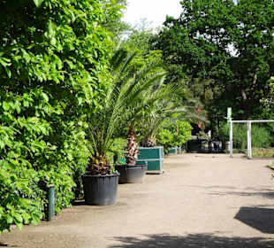 Spaziergang durch den Botanischen Garten Bremen
