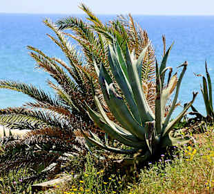 Angrenzend an Villamoura