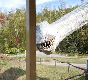 Dinopark, ein echter Hingucker