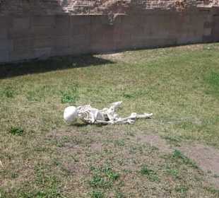 Festungsfest Germersheim 2015