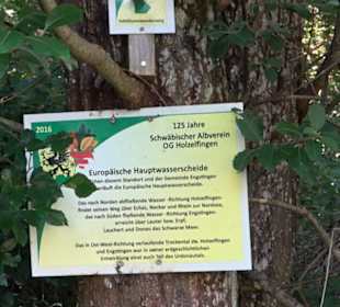 Waldameisen-LehrPfad