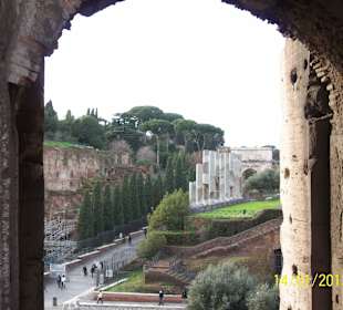 Blick aus dem Colosseum