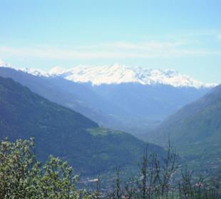 Blick auf Ortlerkette