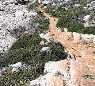 Nationalpark Kap Greco