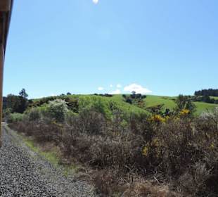 Mit der Taieri Railway durch die Natur Neuselands