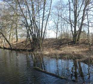 Bei einem Spaziergang am Sennfelder Seenkranz