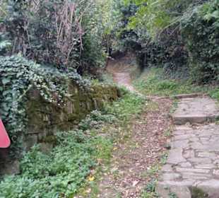 Wanderweg hinauf zum Bergrücken