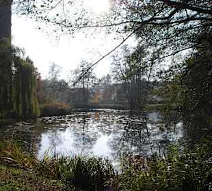 Herbstlicher Schlossgarten