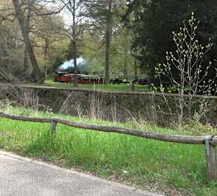Schlossgarten Karlsruhe