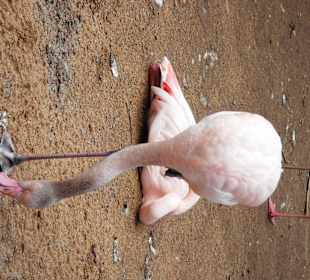 ZOO Jihlava