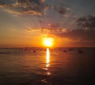 Blick vom Strand in das Bassin d'Arcachon
