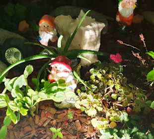 Gartenzwerge am Eingang
