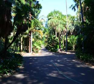 Botanischer Garten 