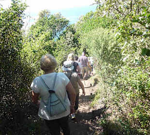 Aussichtspunkt Knysna