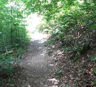 Nebelhöhle
