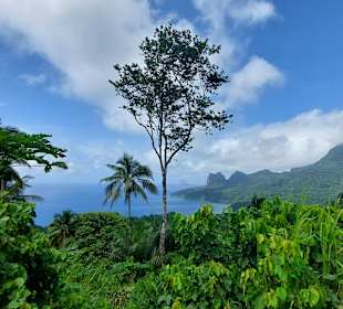 Parque Natural Obô do Príncipe