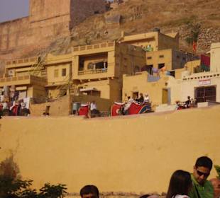 Die Elefanten auf dem Weg zur Festung