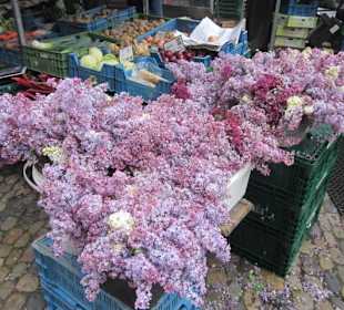Altstadt Freiburg Markt am Münster