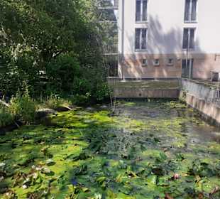 Schloßpark Rockenhausen