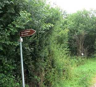 FriedWald Schönbuch