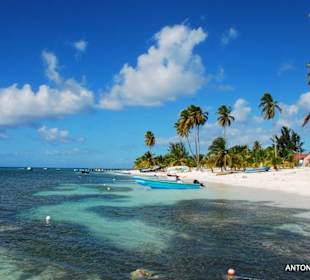 Strand Saona mit Korallenriff