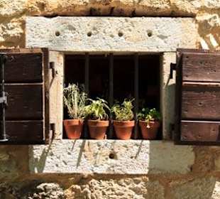 Windows Krka