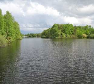 Eindrücke vom Westufer der Thülsfelder Talsperre