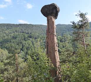 Wandern Hirschenwirt Salten