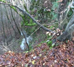 Gustav-Jakob Höhle Grabenstetten