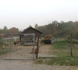 Erlebnisbauernhof und Wildgehege