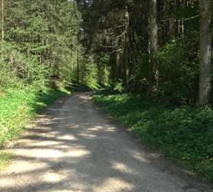 Premiumwanderweg Hochgehschätzt