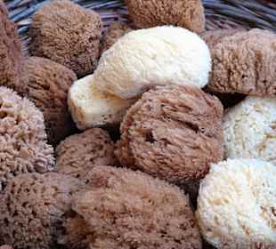 Rundgang über den Wochenmarkt von Argelès-Plage 