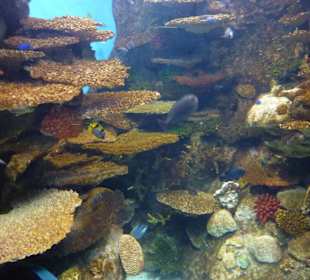 Unterschiedliche Gesteinsformationen