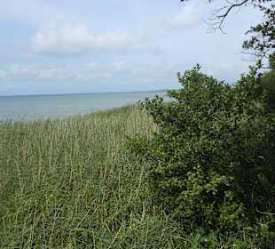 Blick vom Aussichtsturm bei Boek
