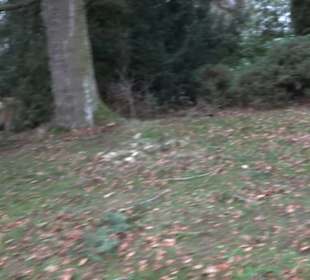 Stationenweg am Kreuzberg Bremelau