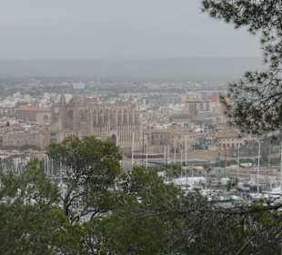 Blick auf Palma vom Castell de Bellver