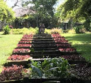 Brief Garden: wunderschöne Anlage