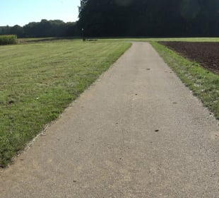 Kelten-Erlebnis-Pfad Erkenbrechtsweiler